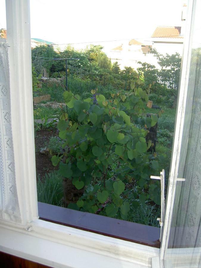 Apartman Thea Apartment Opatija Luaran gambar