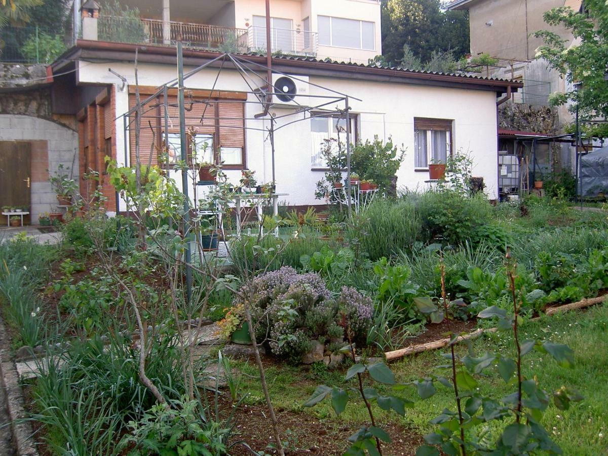 Apartman Thea Apartment Opatija Luaran gambar